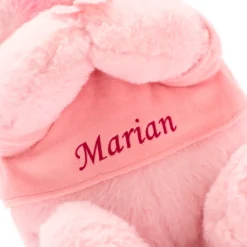 Disney Store Grande Peluche Winnie L'Ourson Sakura -Disney Collector Promos Boutique 412313817051 5