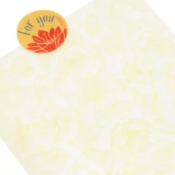 Disney Store Coffret De Pâtisserie à Offrir La Princesse Et La Grenouille -Disney Collector Promos Boutique 465013382831 4