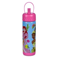 Disney Store Gourde Princesses Disney 6 Disney Store Gourde Princesses Disney -Disney Collector Promos Boutique 465022812282 2