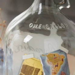 Disney Store Tirelire Là-Haut -Disney Collector Promos Boutique 465041657024 4