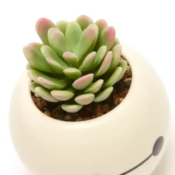 Disney Store Plante Artificielle En Pot Baymax, Les Nouveaux Héros -Disney Collector Promos Boutique 465043353962 4