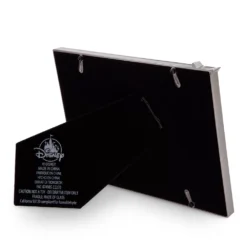 Disneyland Resort Cadre Photo Disney100 Celebration -Disney Collector Promos Boutique 465043582997 2