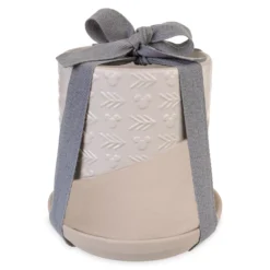 Disneyland Pot De Fleur Mickey Mouse Homestead -Disney Collector Promos Boutique 465043672339 3