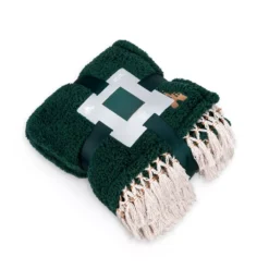 Walt Disney World Plaid Polaire Château -Disney Collector Promos Boutique 465043673817 4