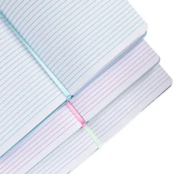 Lot De 3 journaux Walt Disney's Disneyland, Disney100 Eras -Disney Collector Promos Boutique 466043802443 4