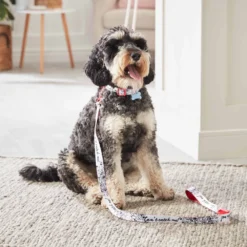 Disney Store Laisse Pour Chien Les 101 Dalmatiens -Disney Collector Promos Boutique 6504051700030M 2